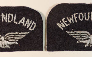 NEWFOUNDLAND/Eagle WW2 R.A.F. Embroidered Nationality Shoulder Title Badge Facing Pair —  Lot No. 4342 - Image 2