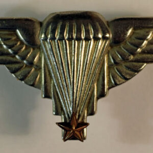 FREE FRENCH JEDBURGHS WW2 Cap Badge – RARE — Lot No. 4603/sf3 - Image 2