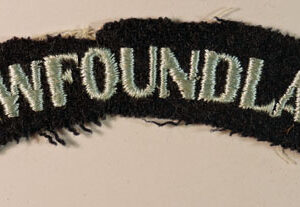 NEWFOUNDLAND - R.A.F. WW2 Embroidered Nationality Shoulder Title Badge - Serifs - SCARCE  ---  Lot No. 6142
