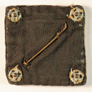 EASTERN COMMAND, INDIA WW2 Embroidered Formation Sign Badge —  Lot No. 6243 - Image 3