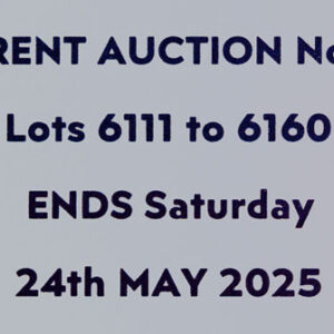 THE CURRENT AUCTION No. 127 - ENDS SATURDAY 24th MAY 2025