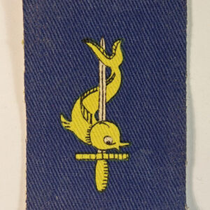 3rd PORT TASK FORCE, Royal Engineers Printed Cloth Formation Sign Badge - CALICO PRINTERS