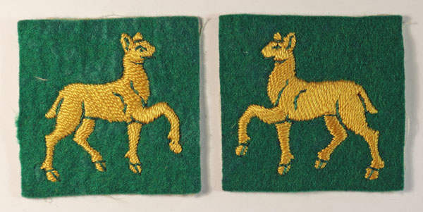 SOUTH WEST DISTRICT Embroidered Felt Formation Sign Badges - Facing Pair