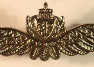 FREE NORWEGIAN AIR FORCE WW2 Pilot's Silver Plated Cap Badge ---  Lot No. 6791