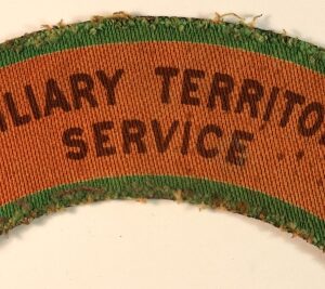 AUXILIARY TERRITORIAL / SERVICE WW2 Printed Shoulder Title Badge - CALICO PRINTERS --- Lot No. 6828