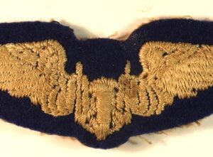 U.S.A.A.F. WW2 British Made Embroidered Aerial Gunner Wings Badge - Blue Backed Combat Worn --- Lot No. 6858