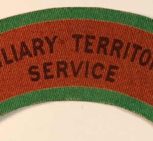 AUXILIARY TERRITORIAL / SERVICE WW2 Printed Shoulder Title Badge - CALICO PRINTERS --- Lot No. 6884