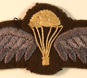 PARACHUTE & WINGS WW2 Embroidered Cloth Arm Badge ---  Lot No. 6944